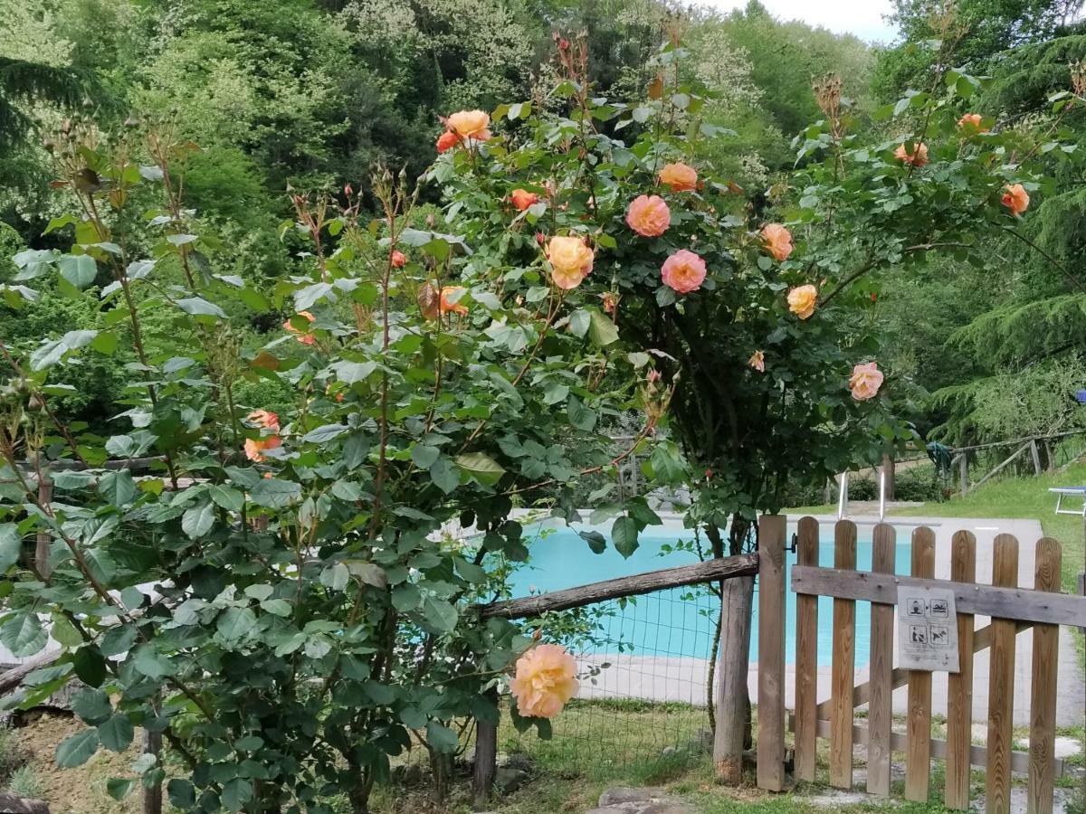 A Casa Del Tosi Farm stay Lucca